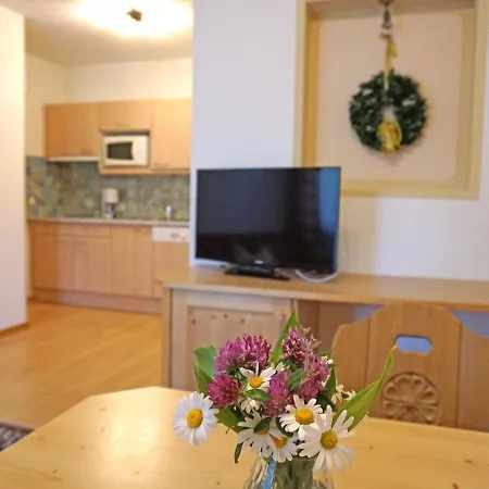 Apartment Diana-4 By Interhome * Pettneu am Arlberg